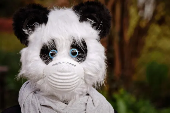 BetOriginal Kasino Podpora